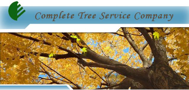 Complete_tree_service.jpg